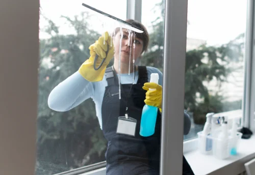 Nettoyage de vitres intérieures et extérieures à Souvigny-de-Touraine